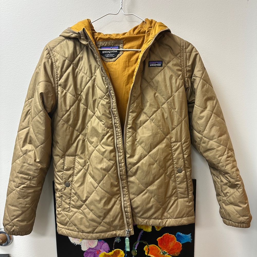 Boys Patagonia hooded jacket size Large 12 $45
